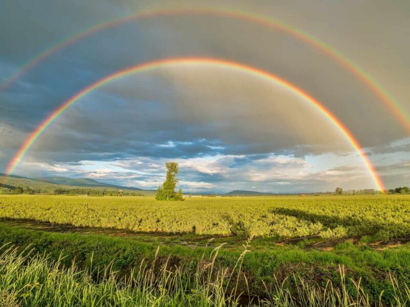 Double Rainbow, Meaning Twin Flame