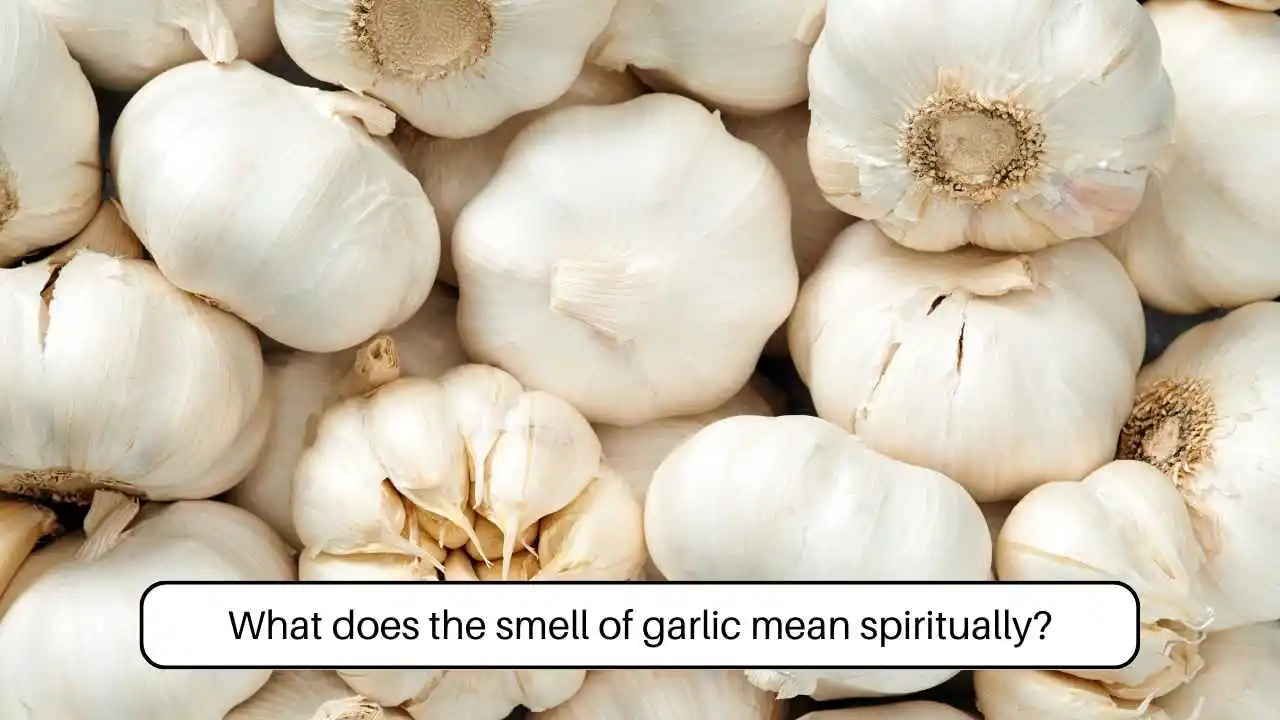 What does the smell of garlic mean spiritually?